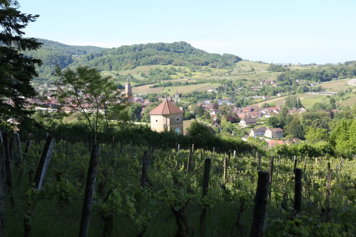 Voyage  de  L'Epicuvin  en  JURA  en  JUIN  2013