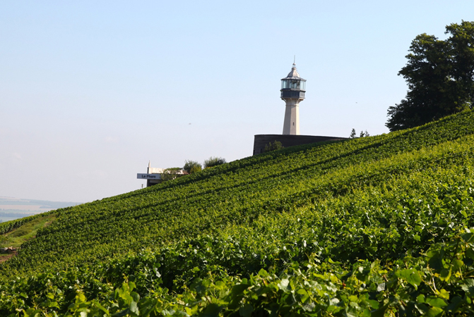 EPICUVIN  Tour  2011  CHABLIS  et  CHAMPAGNE