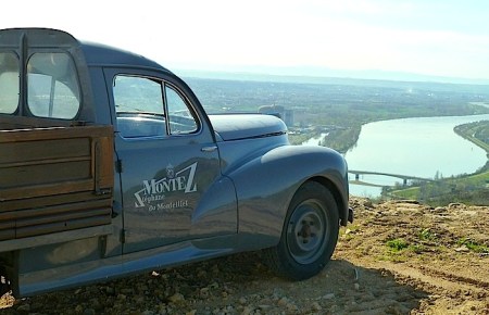 vignoble-monteillet2